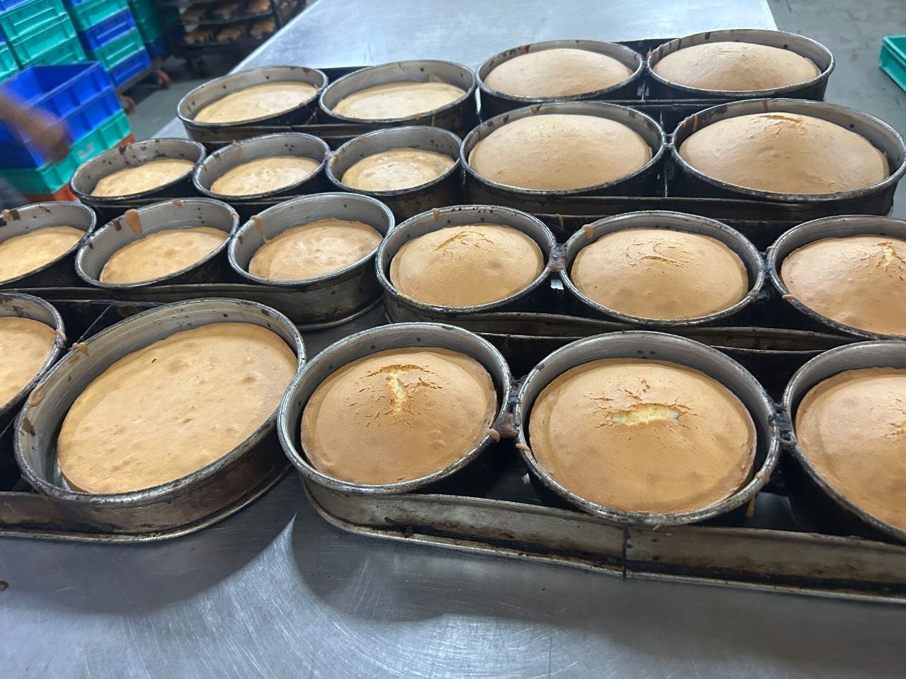 Bakery result 2